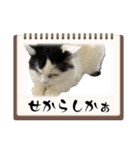 本当の博多弁 〜日常使い〜（個別スタンプ：26）