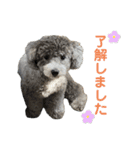 シュシュのスタンプver.2（個別スタンプ：4）