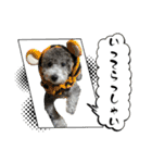 シュシュのスタンプver.2（個別スタンプ：6）