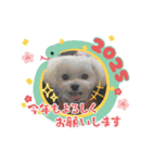 みるたん6（個別スタンプ：1）