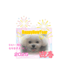 みるたん6（個別スタンプ：4）