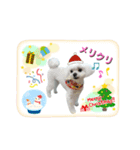 みるたん6（個別スタンプ：7）