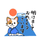 ふわもふ♡チワワ *冬・楽しい毎日*（個別スタンプ：40）