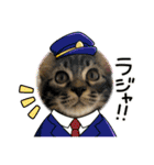 猫ラガマフィン日常＆イベントスタンプ（個別スタンプ：6）