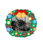 猫ラガマフィン日常＆イベントスタンプ（個別スタンプ：9）