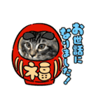 猫ラガマフィン日常＆イベントスタンプ（個別スタンプ：11）