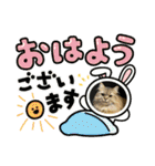 猫ラガマフィン日常＆イベントスタンプ（個別スタンプ：15）