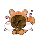 猫ラガマフィン日常＆イベントスタンプ（個別スタンプ：17）