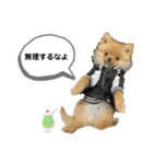 まるだよ（子犬編）（個別スタンプ：14）