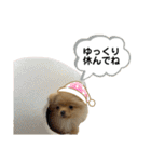 まるだよ（子犬編）（個別スタンプ：15）