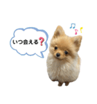 まるだよ（子犬編）（個別スタンプ：17）