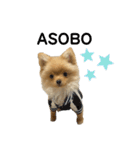まるだよ（子犬編）（個別スタンプ：29）