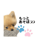 まるだよ（子犬編）（個別スタンプ：30）