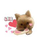 まるだよ（子犬編）（個別スタンプ：38）