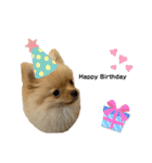 まるだよ（子犬編）（個別スタンプ：40）