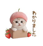 スコティッシュ猫とイチゴ 思いやり 敬語（個別スタンプ：5）