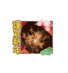 花火で年越し（個別スタンプ：1）