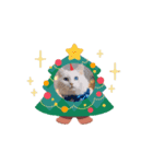 ほんわかクリスマス猫（個別スタンプ：1）