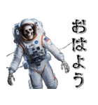 宇宙飛行死（個別スタンプ：1）