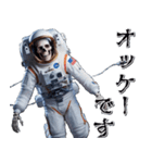 宇宙飛行死（個別スタンプ：6）