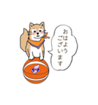 柴犬と ハチワレ猫の 挨拶スタンプ（個別スタンプ：1）