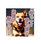 ブチ切れる犬（個別スタンプ：1）