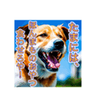 ブチ切れる犬（個別スタンプ：3）