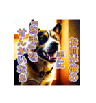 ブチ切れる犬（個別スタンプ：6）