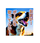 ブチ切れる犬（個別スタンプ：9）