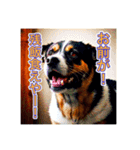 ブチ切れる犬（個別スタンプ：10）