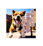 ブチ切れる犬（個別スタンプ：11）