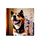 ブチ切れる犬（個別スタンプ：15）