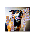 ブチ切れる犬（個別スタンプ：16）