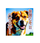 ブチ切れる犬（個別スタンプ：17）