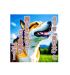 ブチ切れる犬（個別スタンプ：19）