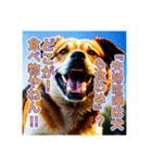 ブチ切れる犬（個別スタンプ：21）