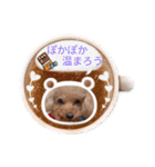 冬❤クレオ君とマリーちゃん（個別スタンプ：1）