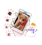 冬❤クレオ君とマリーちゃん（個別スタンプ：2）