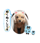 冬❤クレオ君とマリーちゃん（個別スタンプ：7）