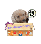 冬❤クレオ君とマリーちゃん（個別スタンプ：11）
