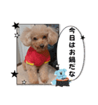 冬❤クレオ君とマリーちゃん（個別スタンプ：15）