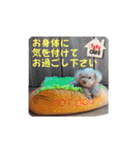 冬❤クレオ君とマリーちゃん（個別スタンプ：17）