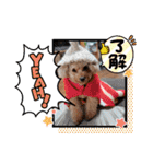 冬❤クレオ君とマリーちゃん（個別スタンプ：24）