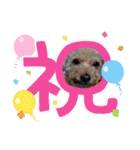 冬❤クレオ君とマリーちゃん（個別スタンプ：25）