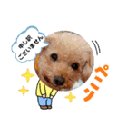 冬❤クレオ君とマリーちゃん（個別スタンプ：31）
