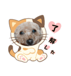冬❤クレオ君とマリーちゃん（個別スタンプ：33）