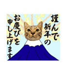 お酒とネコ好きな日常会話24冬の感じver.（個別スタンプ：1）