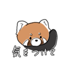 ゆるレッサーパンダ（個別スタンプ：11）