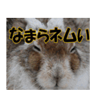 サロベツ原野の動物・野鳥たち（個別スタンプ：7）
