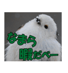 サロベツ原野の動物・野鳥たち（個別スタンプ：8）